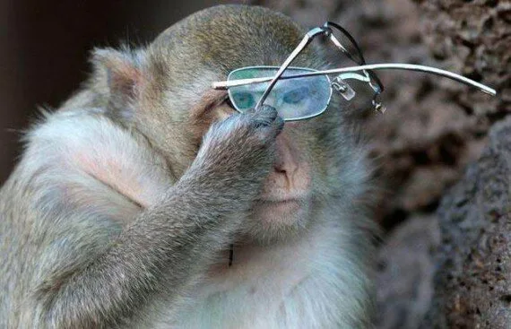 Intellectuals4
