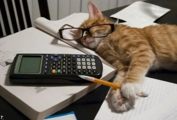Intellectuals9